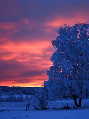 "Skymning i Bänatorp" Foto: Victoria Oscarsson