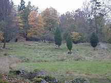 Bild på Nuggeberg