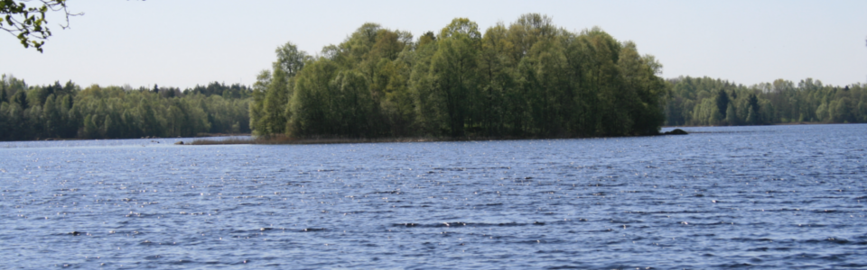 Kvinnestadssjön