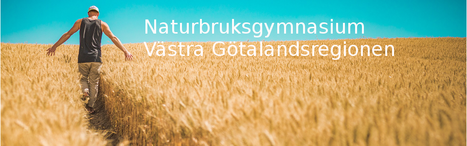 Västra Götalandsregionens Naturbruksskolor