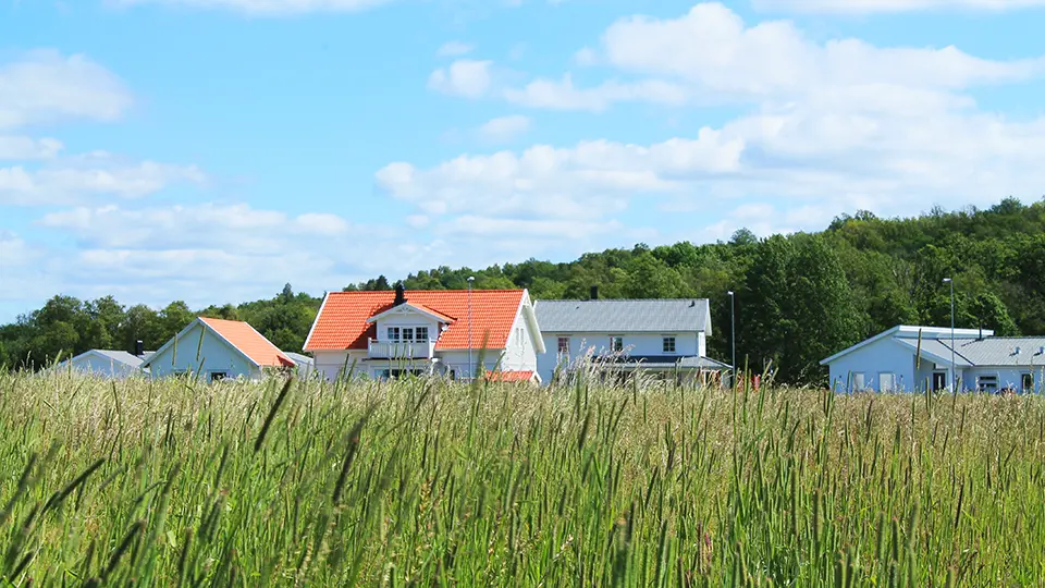 Nybyggda hus med äng i förgrunden