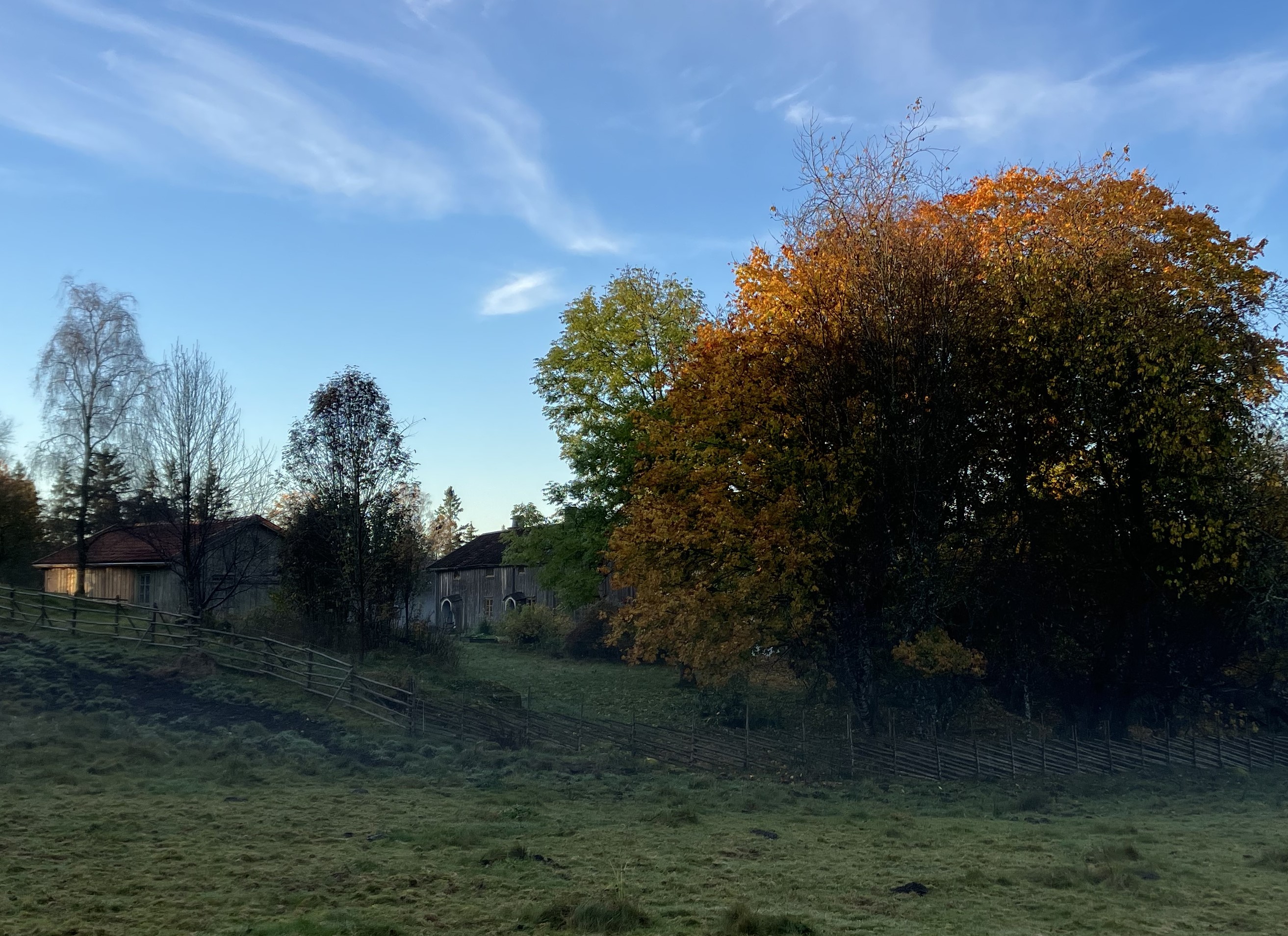 Foto: Arvid Johansson