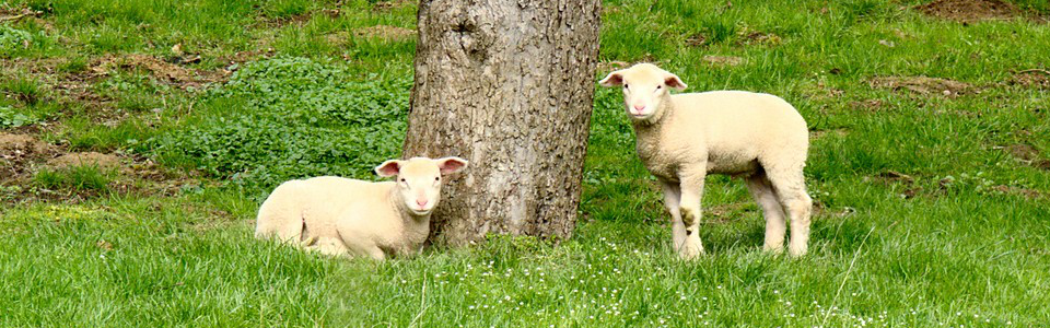 Foto: Bernd Brägelmann