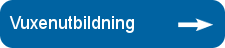 Vuxenutbildning