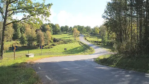 Väg på landsbygden med skog och fält